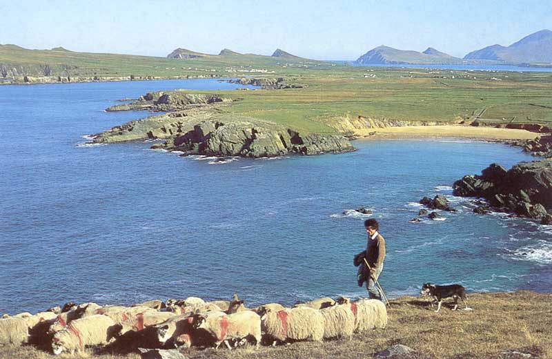 Clogher-Strand-depuis-Dunquin