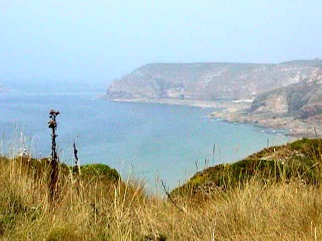 En vue du Cap
                Fréhel