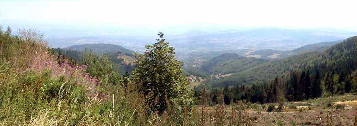 Panorama depuis notre pique-nique au col de l'Oeillon