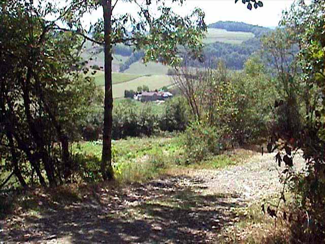 Le
              sentier menant au Signal St-André