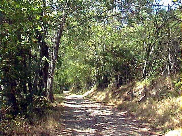 Le chemin creux menant au Signal St-André