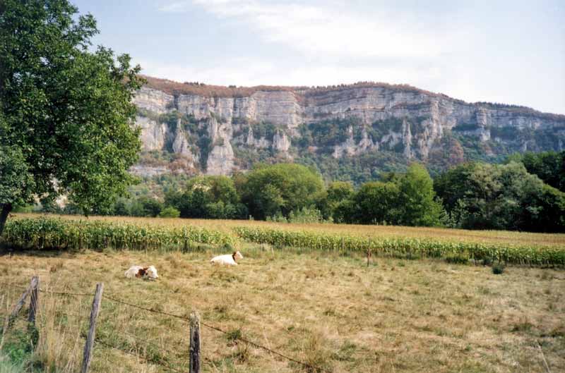 Falaises
                des Bauges près de Rochefort