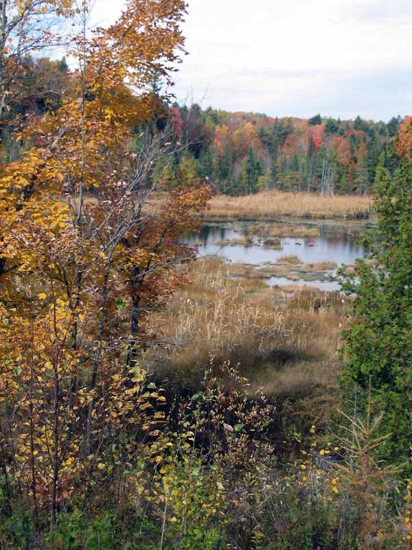 Morin
                Heights : lac Robert
