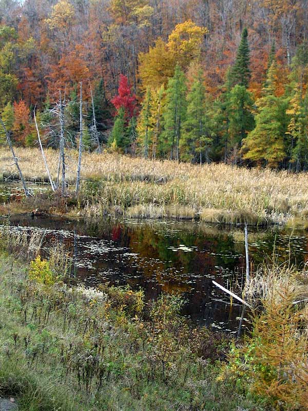 Morin
                Heights : lac Robert