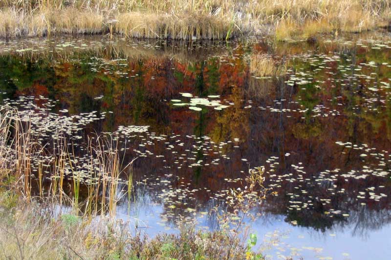 Morin_Heights_lac