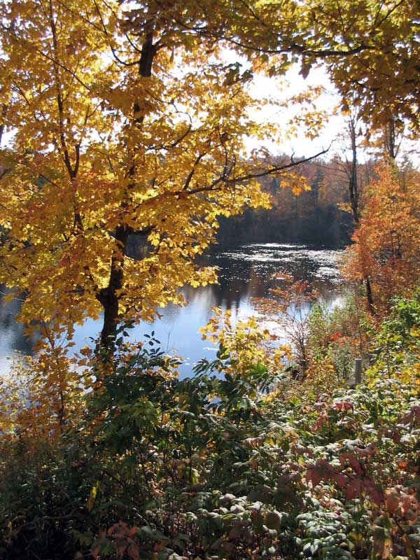 Lac des
                Laurentides à l'automne