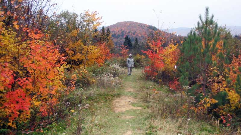 Mt-Tremblant-pres-du-lac-Chat