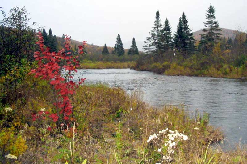 Tremblant-riviere-la-Diable au pont du Lac Chat