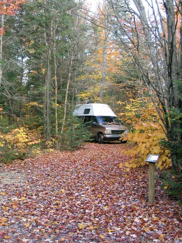 Mt-Tremblant- : Guepard au camping des Castors