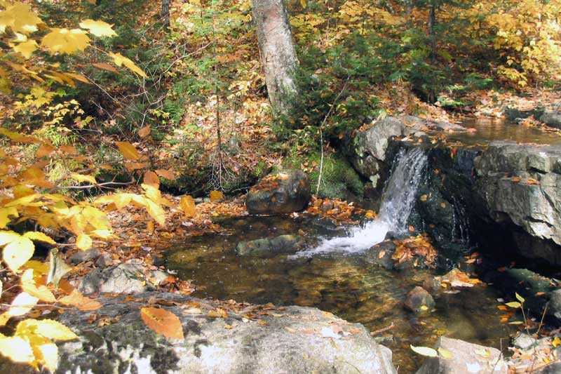 Mt-Tremblant-torrent-sur-le-sentier-de-la-Roche