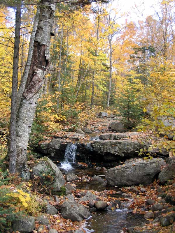 Mt-Tremblant-torrent-sur-le-sentier-de-la-Roche