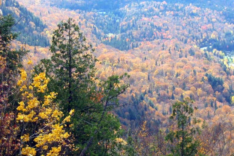 Mt-Tremblant-belvedere-de-la-Roche---les-couleurs-de-la-foret