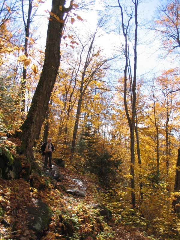 Mt-Tremblant-sentier-de-la-Coulee