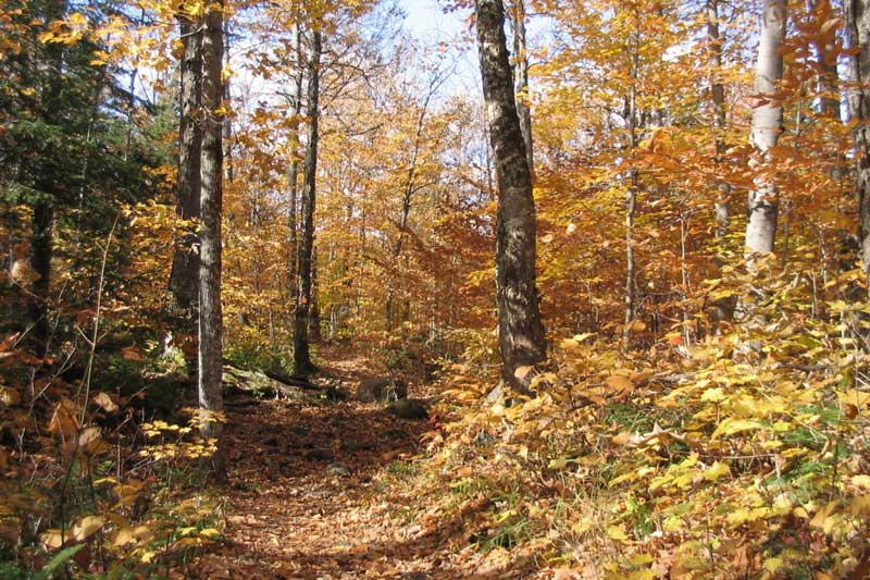 Mt-Tremblant-sentier-de-la-Coulee