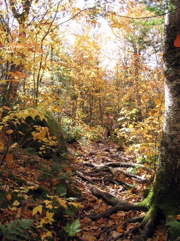 Mt Tremblant : sentier de la Coulée
