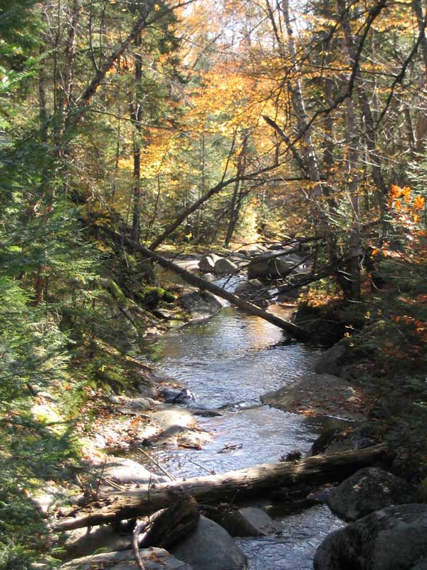Mt-Tremblant--torrent-en-montant-a-la-Corniche