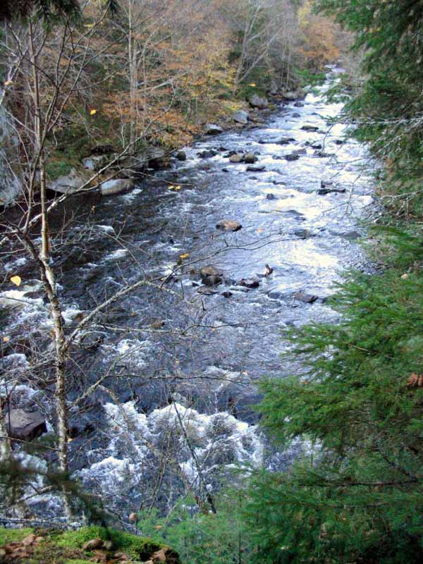 Mt-Tremblant-la-Diable-pres-de-la-Chute-du-Diable