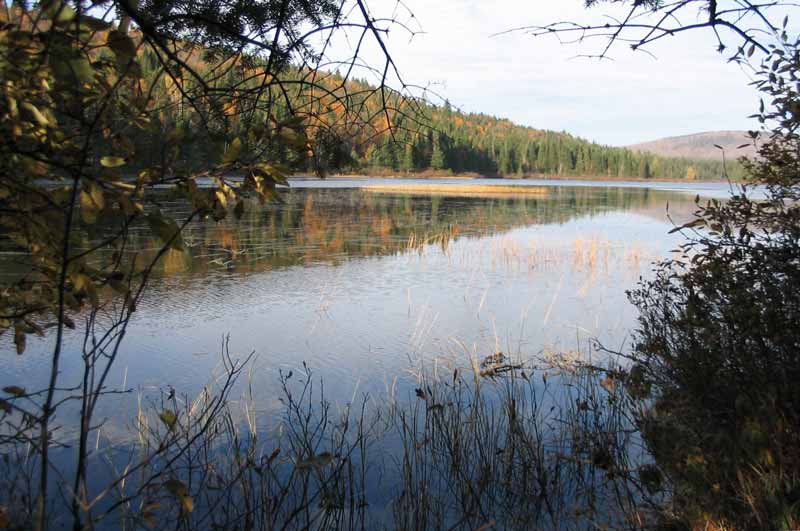Le
      Lac-aux-Rats le matin