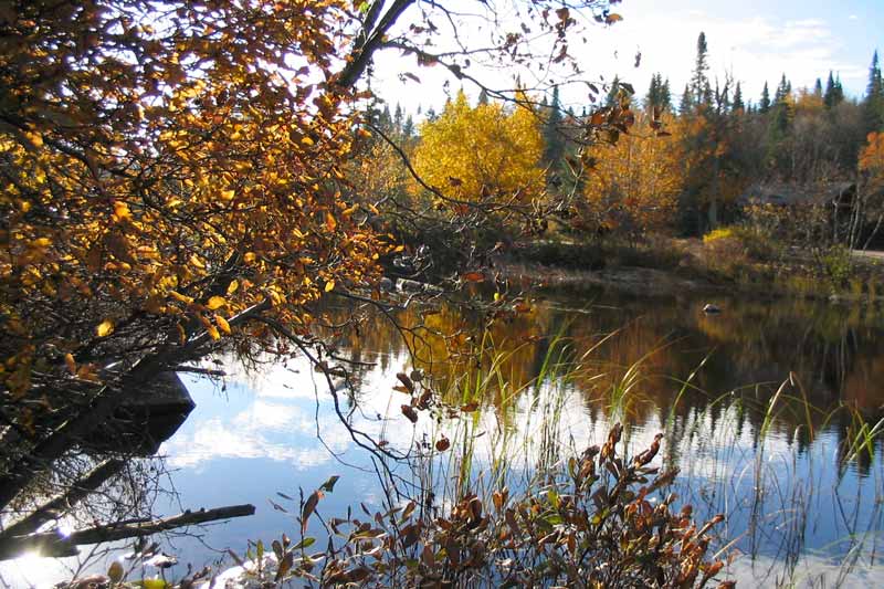 Le
        Lac-aux-Rats le matin