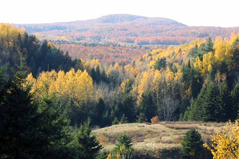 Ste-Beatrix : panorama colorée