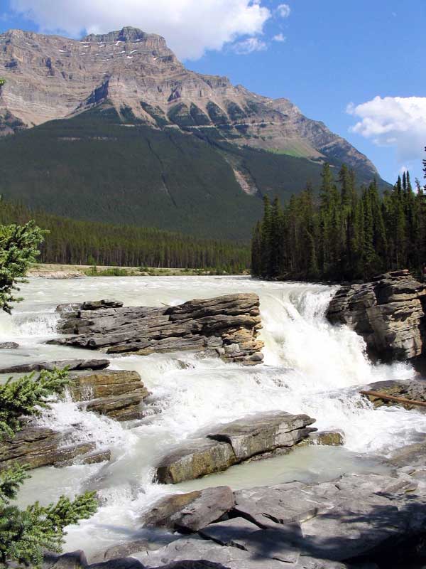 Athabasca
                Falls