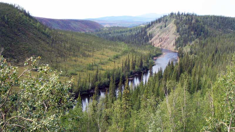 Plus loin la même vallée épargnée par le feu