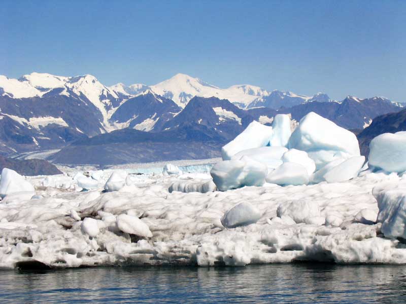 Blocs de glace sur la banquise