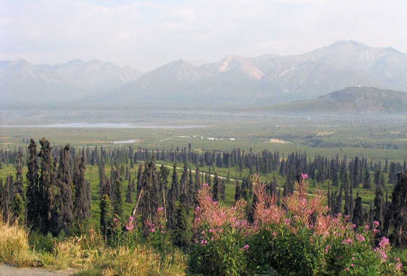 Glenn
          Hwy : massif du Wrangell-St-Elias dans la fumée