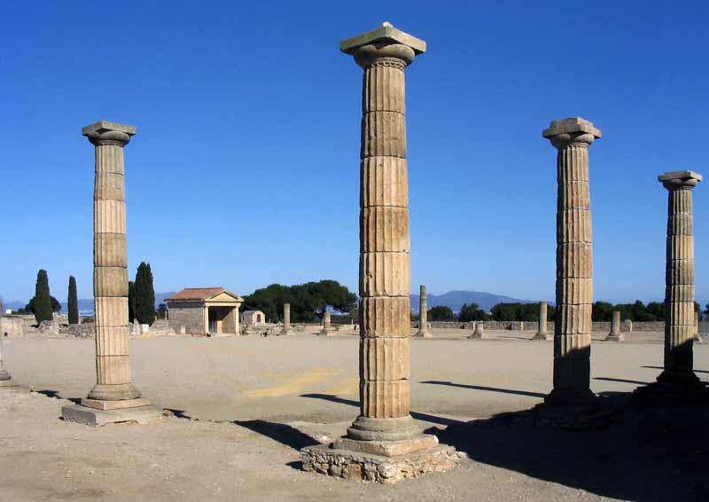Forum
      romain