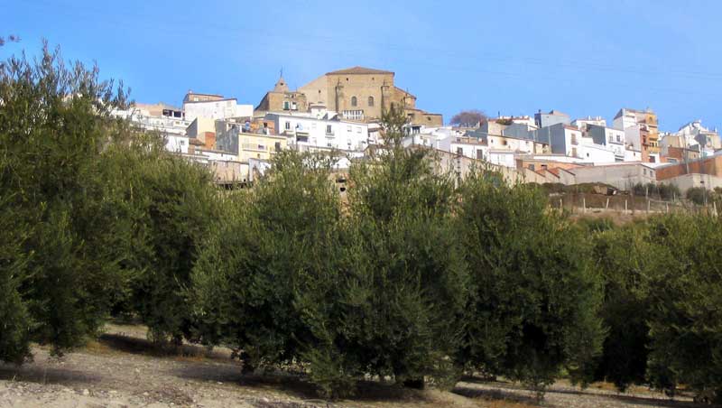 En quittant Iznatoraf et ses oliviers