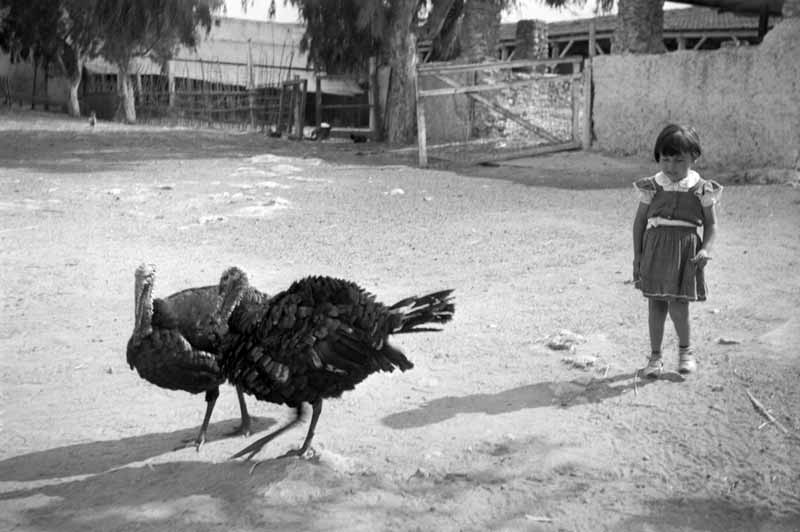 52 ans plus tôt, au même emdrit... Monique et les
            dindons de Dar Bouazza