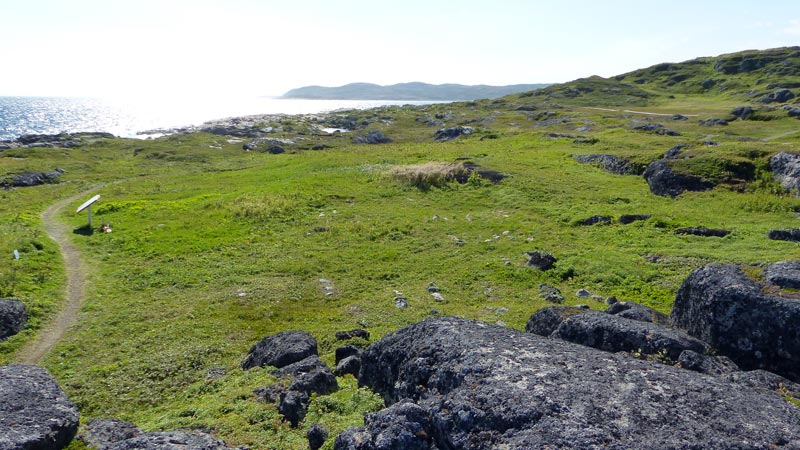 Sur
                  saddle Island, le site du cimetière