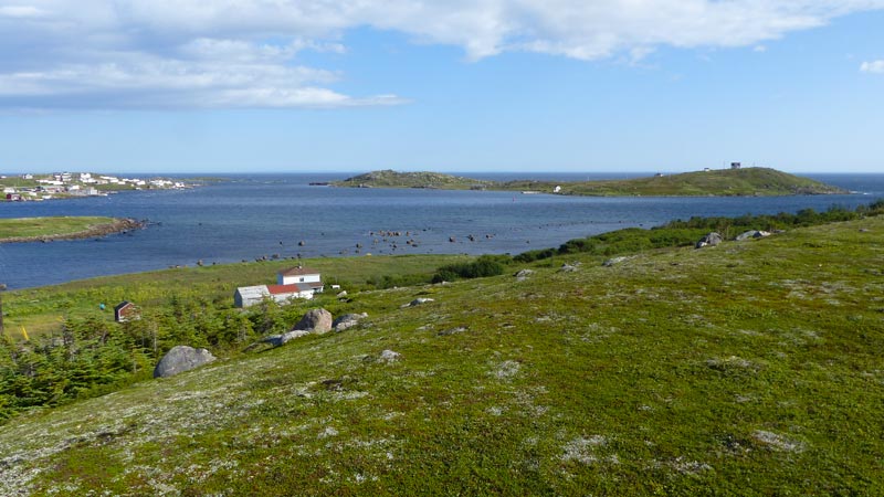 Red Bay-et ses iles depuis Boney Shore Trail