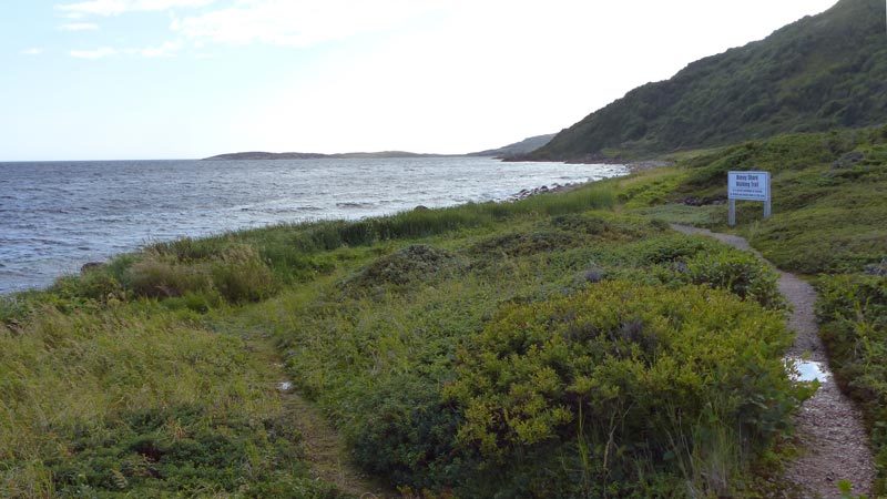 Boney
                    Shore Trail