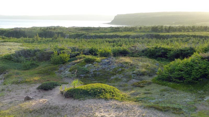 Tumulus funéraire, 5000 av. J.C.