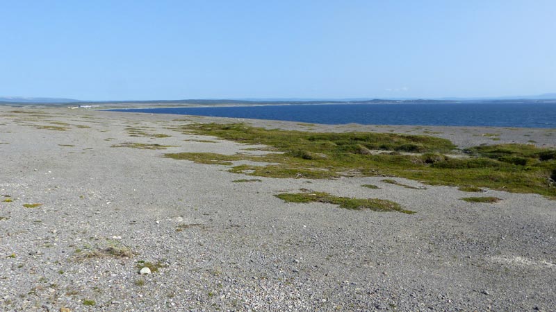 Port-au-Choix la côte