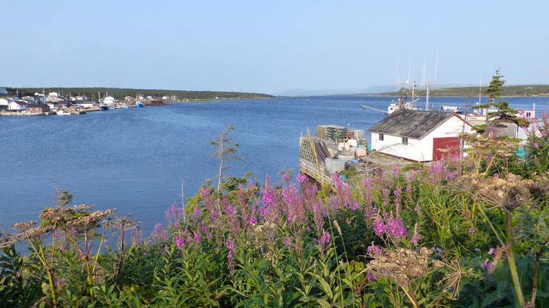 Port-au-Choix : le port et quai de
                          pêche