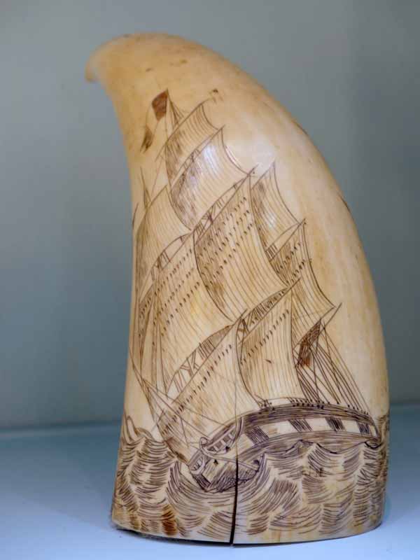 Variety Unit : navire sur scrimshaw