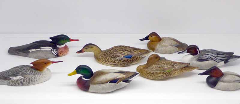 Dorset House : canards en troupe