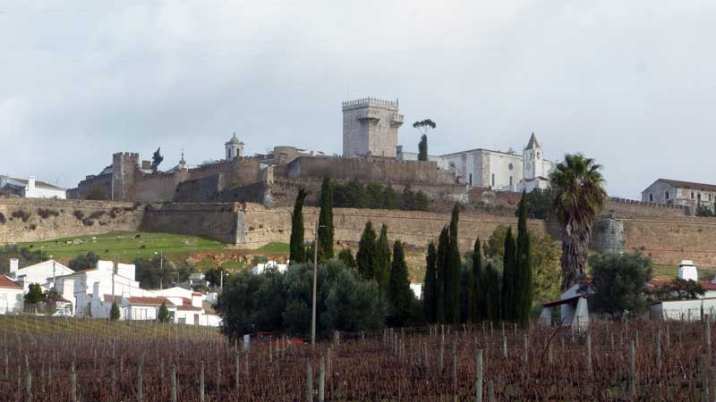 Estremoz-zoom-sur-le-chateau