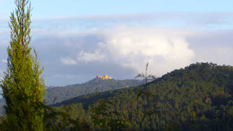 Au loin le château de Sintra sur la Sierra