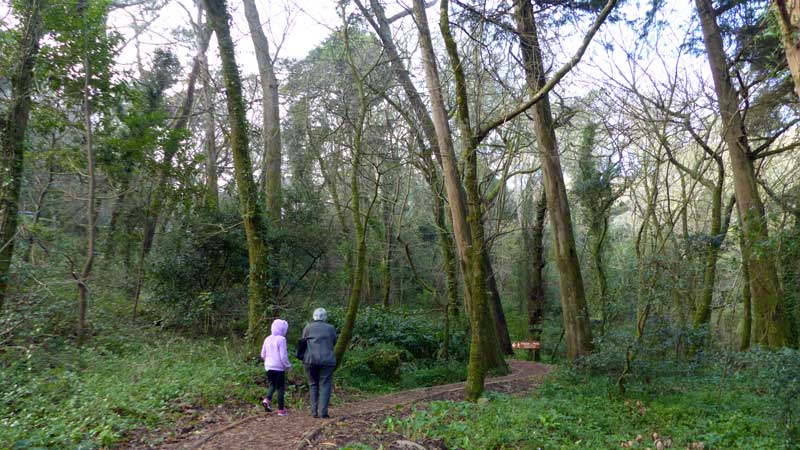 Sur le sentier menant au château da Pena