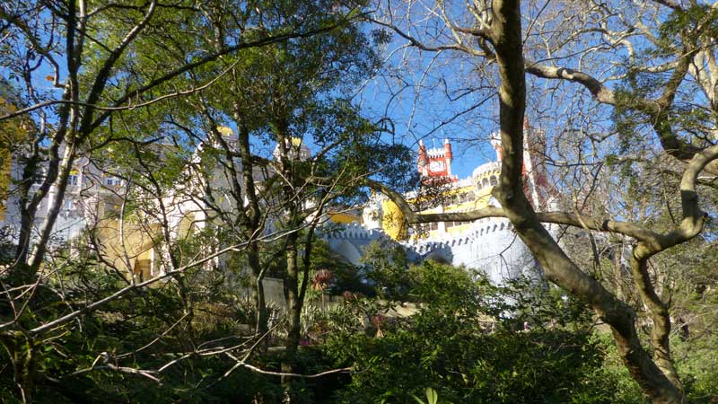 Le château de Pena à travers les arbres