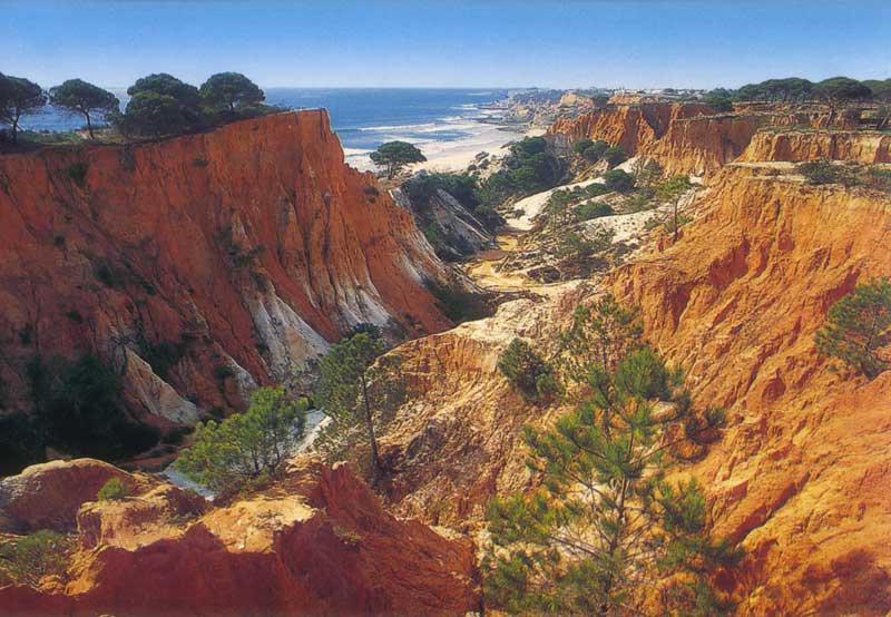 Albureira-Praia-de-Falesia