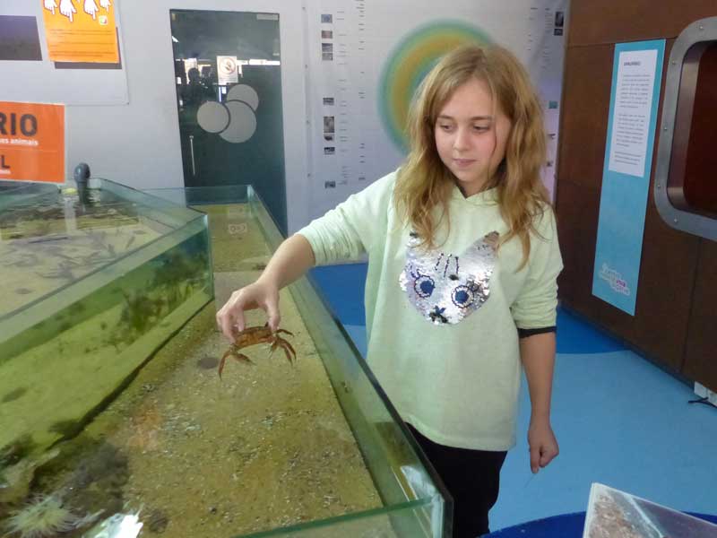 Hermione-apprend-a-tenir-le-crabe