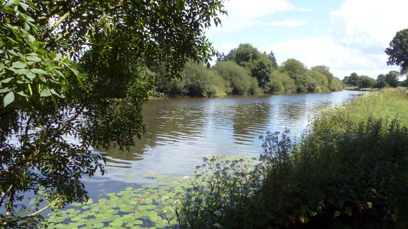 La Vilaine
            à Pont-Réan