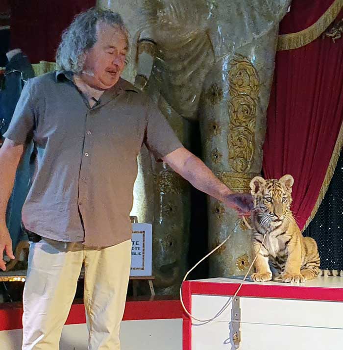 Musée du cirque présentation du bébé tigre