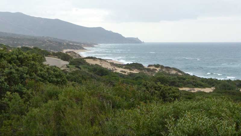 La route côtière vers Piscinas dont on aperçoit les
              dunes