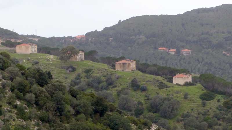 Sur les pentes sous la mine les barres des
              habitations ouvrières