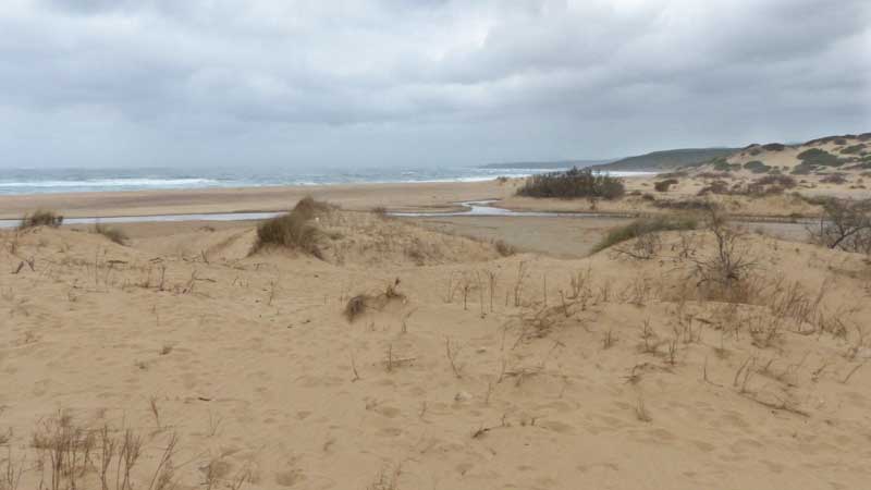 Dunes de Piscinas